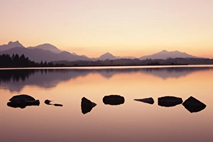 Allgau Alps Prints: Sunset at Hopfensee Lake, near Fussen, Allgau, Allgau Alps, Bavaria, Germany, Europe