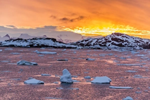 Ice Floe Prints: Sunset over ice floes and icebergs