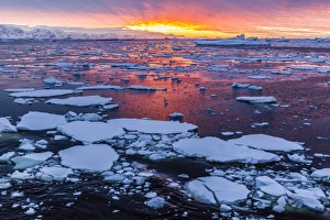 Sunset over ice floes and icebergs, near Pleneau Island, Antarctica, Southern Ocean, Polar Regions
