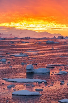 Sunset over ice floes and icebergs, near Pleneau Island, Antarctica, Southern Ocean, Polar Regions