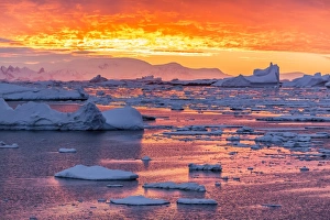 Sunset over ice floes and icebergs, near Pleneau Island, Antarctica, Southern Ocean, Polar Regions