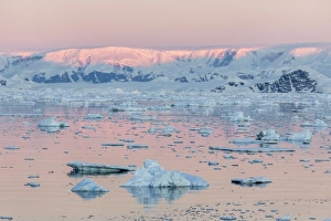 Ice Floe Prints: Sunset over icebergs in the Gerlache Strait, Antarctica, Southern Ocean, Polar Regions