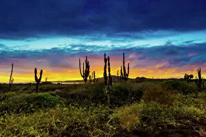 Ecuador Gallery: Sunset on Isabella Island, Galapagos Islands, Ecuador, South America