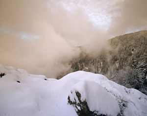 Images Dated 1st January 2009: Sunset at Kandel Mountain, Black Forest, Baden Wurttemberg, Germany, Europe