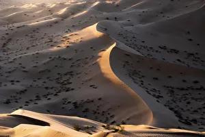Rub Al Khali Prints: Sunset light on the sand dunes of Rub al Khali desert, Oman, Middle East