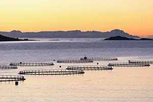 Sunset lights up the fish tanks of codfish and salmon in the cold sea of Torsken