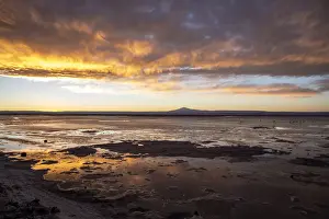 Sunset at Llano de Solaren, Los Flamencos National Reserve, Antofagasta Region, Chile