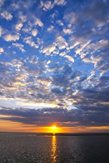 Images Dated 19th August 2007: Sunset, Morondava, Madagascar, Indian Ocean, Africa