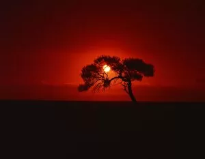 Sunset, Mundi Mundi Plains, New South Wales, Australia, Pacific