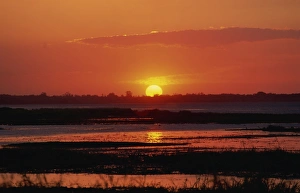 Sunset over Myakka Lake, Myakka River State Park, near Sarasota, Florida