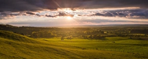 Sunset at a nature reserve at Studland, Dorset, England, United Kingdom, Europe