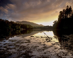 Co Kerry Prints: Sunset near Lauragh