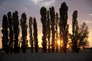 Parma Prints: Sunset near Parma, Emilia Romagna, Italy, Europe