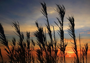 Azores Prints: Sunset near Ponta Delgada, Sao Miguel, Azores Islands, Atlantic, Portugal