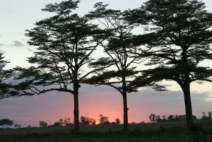 Enchanting Prints: Sunset, Nosy Be island, Republic of Madagascar, Indian Ocean