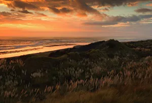 Images Dated 1st January 2000: Sunset, Ocean Beach