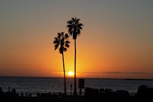 Back Lit Prints: Sunset over the ocean and two palm trees in silhouettte