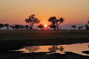 Sunset over the Okavango Delta, Botswana, Africa