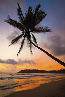 Matara Prints: Sunset and palm tree and the western point of the south coast surf beach at Mirissa
