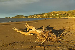 Sunset at Pohara Beach, Golden Bay, Tasman, South Island, New Zealand, Pacific