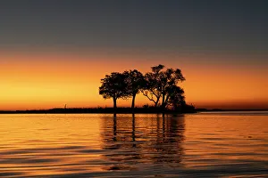 Back Lit Prints: Sunset on the River Chobe, Chobe National Park, Botswana, Africa