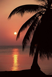 Honduras Prints: Sunset seen from the resort of West End on Roatan