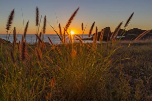 Himalaya Beach Prints: Sunset along the shoreline at Himalaya Beach, Sonora, Mexico, North America