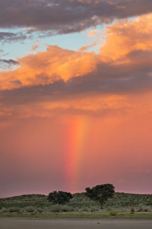 Meteorological Prints: Sunset and storm over Kgalagadi Transfrontier Park, Northern Cape, South Africa, Africa