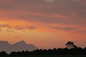 Back Lit Prints: Sunset over Table Mountain, Stellenbosch, Western Cape, South Africa, Africa