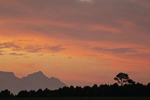 Silhouetted Gallery: Sunset over Table Mountain, Stellenbosch, Western Cape, South Africa, Africa
