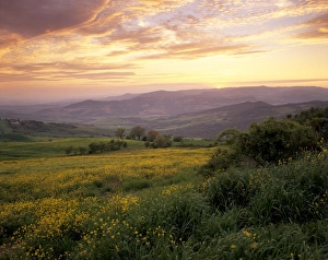 Val Dorcia Prints: Sunset over Val d Orcia
