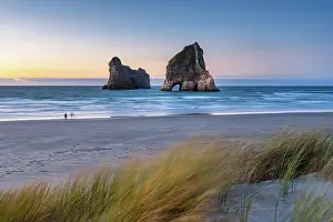 Zealand Prints: Sunset view of Archway Islands and windswept grasses at Wharariki Beach in Golden Bay