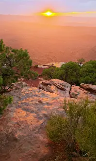Canyonlands Prints: Sunset view from Grand View Point with rock formations and trees in Canyonlands National Park in Utah