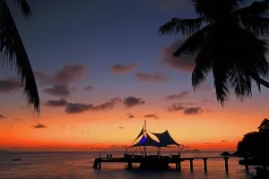 Silhouettes Prints: Sunset view near Coco de Mer resort on Praslin Island in Seychelles with silhouettes of palm trees and calm water