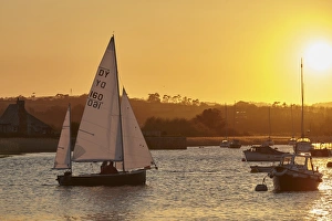 Exeter Prints: A sunset view of sailing on the River Exe at Topsham, near Exeter, Devon, England