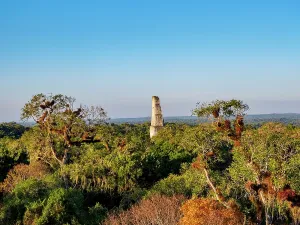 Contrasts Prints: Sunset view of Temple III from elevated position, showcasing Tikal in Peten, Guatemala