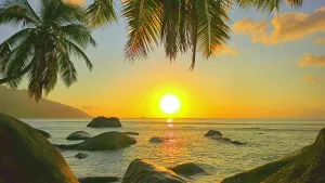 Relax Prints: Sunset view over the water with rocks and palm trees at Beau Vallon beach on Mahe in Seychelles
