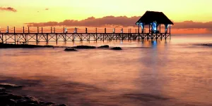 Mauritius Prints: Sunset view over a wooden pier with calm water at Pointe aux Piments in Mauritius