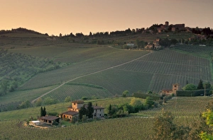 Sunset over vineyards near Panzano in Chianti
