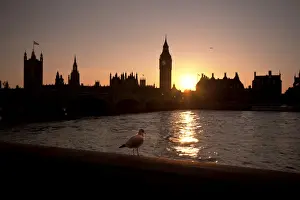 Sunsets Prints: Sunset over Westminster Bridge