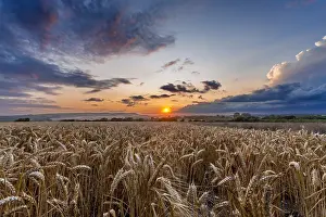 Wilmington Prints: Sunset over wheat fields and the South Downs National Park near Wilmington