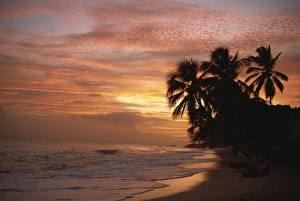 Dramatic Skies Prints: Sunset over Worthing Beach, Christ Church, Barbados, West Indies, Caribbean