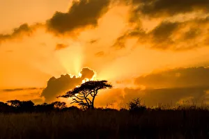 Sun Ray Prints: Sunset, Zululand, South Africa, Africa