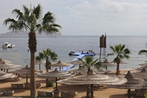 Umbrellas Prints: Sunshades and palm trees by the beach at White Knight Beach, Sharm el-Sheikh