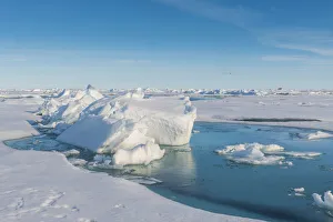 North Pole Prints: Sunshine on the ice of the North Pole, Arctic