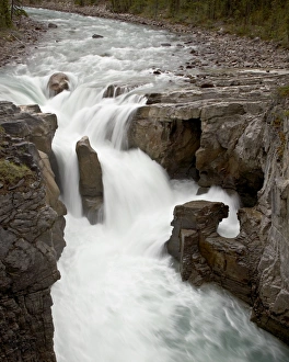 Images Dated 1st July 2009: Sunwapta Falls, Jasper National Park, UNESCO World Heritage Site, Rocky Mountains