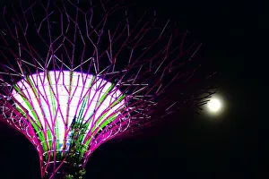 Nightlife Prints: Super tree and full moon in Gardens by the Bay