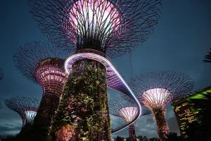 Adventures Prints: Super Trees in Gardens by the Bay, Singapore