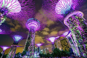 Night Time Gallery: Supertree Grove in the Gardens by the Bay, a futuristic botanical gardens and park