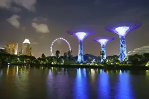 Supertree Grove in the Gardens by the Bay, a futuristic botanical gardens and park